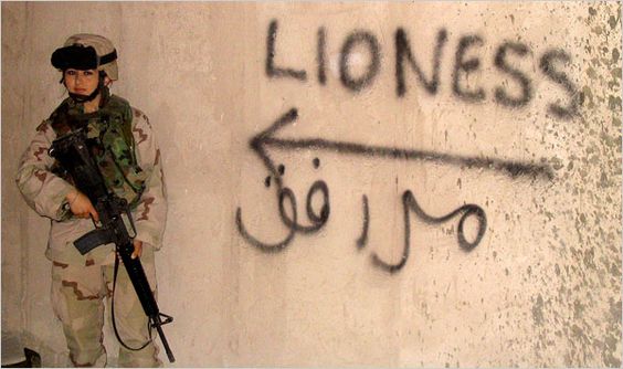 Iraq Lioness Wall Art